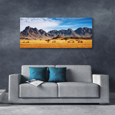 Quadro su tela Paesaggio delle montagne del deserto