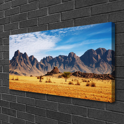 Quadro su tela Paesaggio delle montagne del deserto