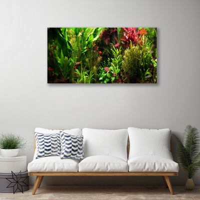 Quadro su tela Pianta, fiori, natura