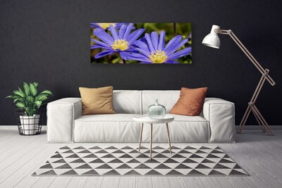 Quadro su tela Fiori, piante, natura