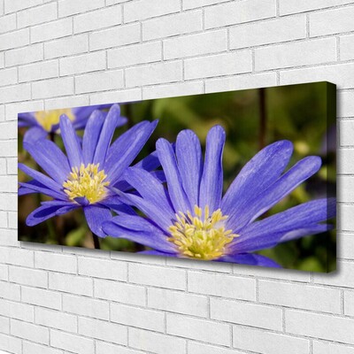 Quadro su tela Fiori, piante, natura