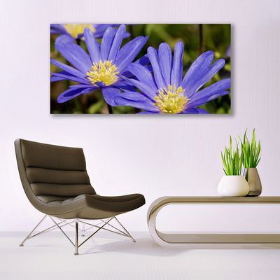 Quadro su tela Fiori, piante, natura