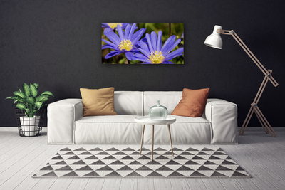 Quadro su tela Fiori, piante, natura