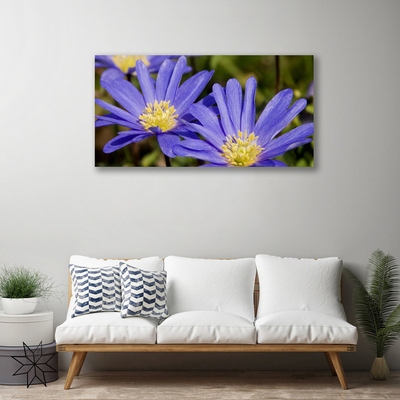 Quadro su tela Fiori, piante, natura