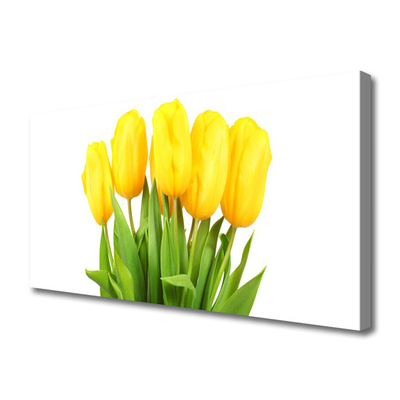 Foto quadro su tela Tulipani, fiori, piante