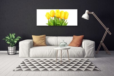 Foto quadro su tela Tulipani, fiori, piante