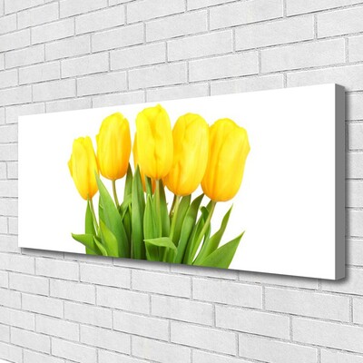 Foto quadro su tela Tulipani, fiori, piante