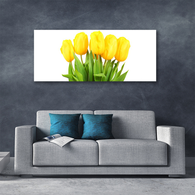 Foto quadro su tela Tulipani, fiori, piante