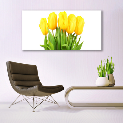 Foto quadro su tela Tulipani, fiori, piante