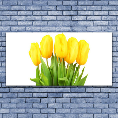 Foto quadro su tela Tulipani, fiori, piante