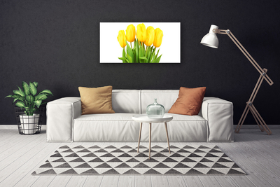 Foto quadro su tela Tulipani, fiori, piante