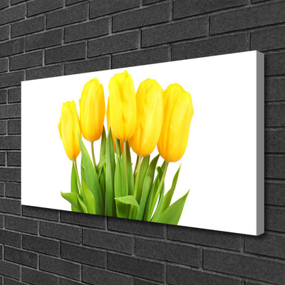 Foto quadro su tela Tulipani, fiori, piante