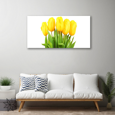 Foto quadro su tela Tulipani, fiori, piante