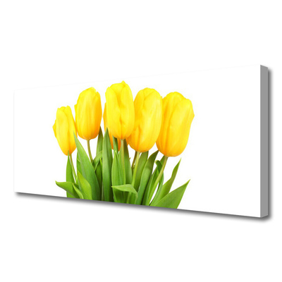 Foto quadro su tela Tulipani, fiori, piante