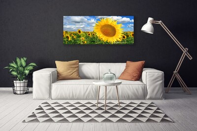 Stampa quadro su tela Pianta di fiori di girasole