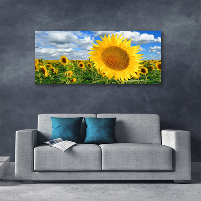 Stampa quadro su tela Pianta di fiori di girasole