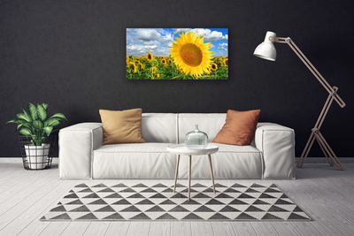 Stampa quadro su tela Pianta di fiori di girasole