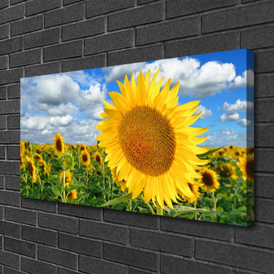 Stampa quadro su tela Pianta di fiori di girasole