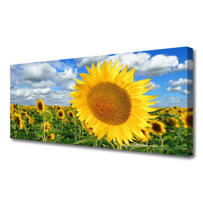 Stampa quadro su tela Pianta di fiori di girasole