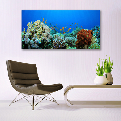 Quadro su tela Natura della barriera corallina