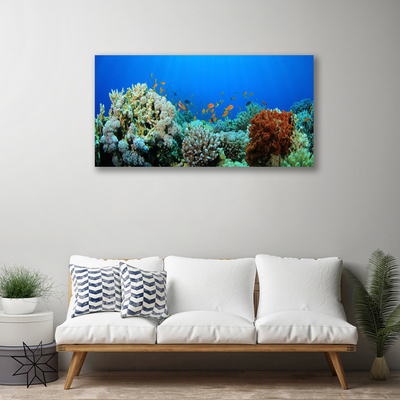 Quadro su tela Natura della barriera corallina