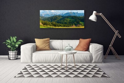 Foto quadro su tela Natura della foresta di montagna