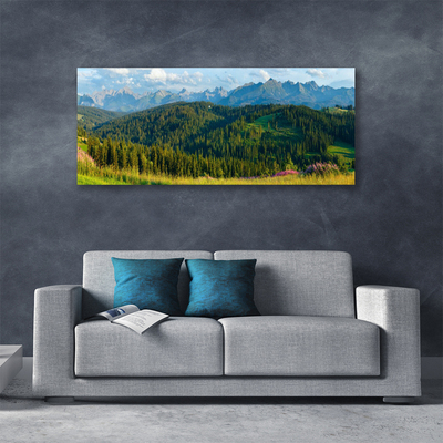 Foto quadro su tela Natura della foresta di montagna