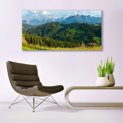 Foto quadro su tela Natura della foresta di montagna