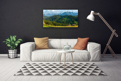 Foto quadro su tela Natura della foresta di montagna