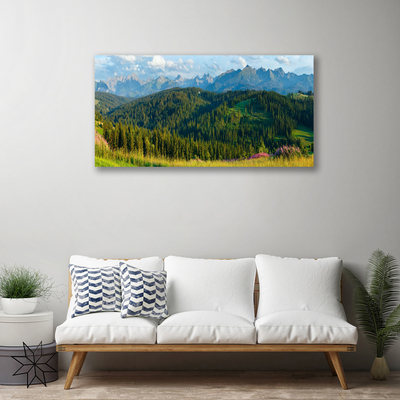 Foto quadro su tela Natura della foresta di montagna