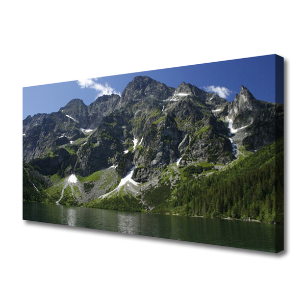 Quadro su tela Montagna del paesaggio del lago della foresta