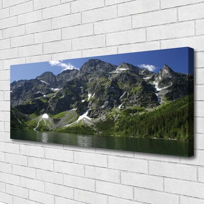 Quadro su tela Montagna del paesaggio del lago della foresta