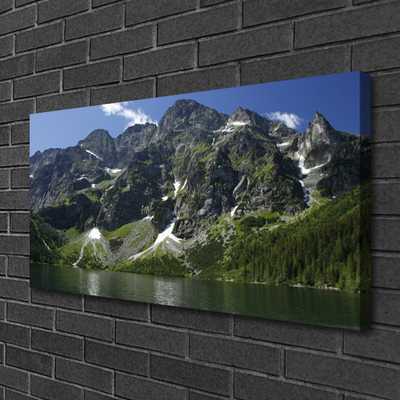 Quadro su tela Montagna del paesaggio del lago della foresta