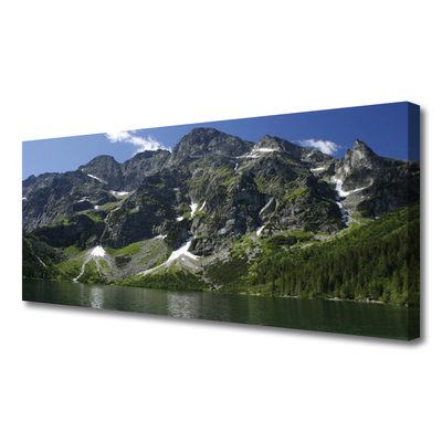 Quadro su tela Montagna del paesaggio del lago della foresta