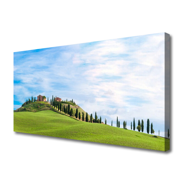 Quadro su tela Paesaggio degli alberi del prato