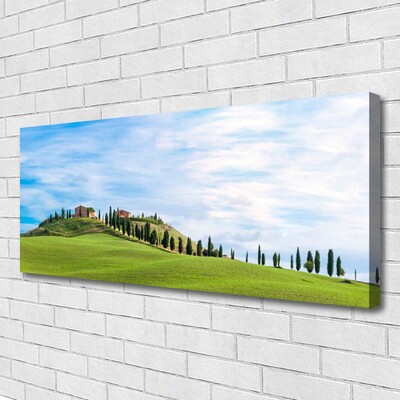 Quadro su tela Paesaggio degli alberi del prato