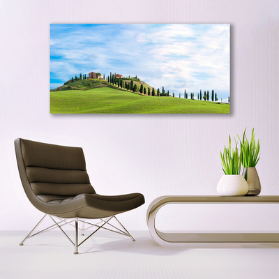 Quadro su tela Paesaggio degli alberi del prato