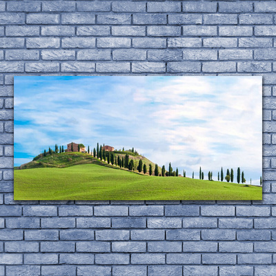 Quadro su tela Paesaggio degli alberi del prato