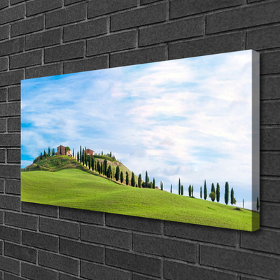 Quadro su tela Paesaggio degli alberi del prato