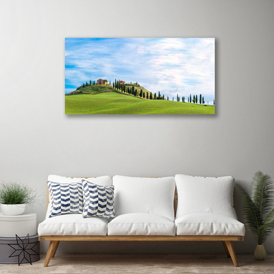 Quadro su tela Paesaggio degli alberi del prato