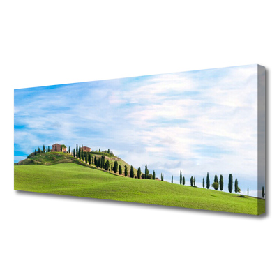 Quadro su tela Paesaggio degli alberi del prato