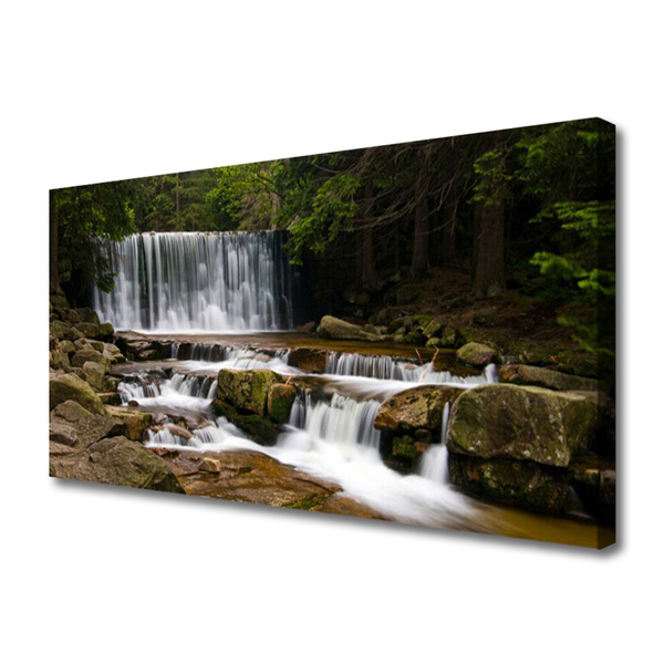 Quadro su tela Cascata della natura della foresta