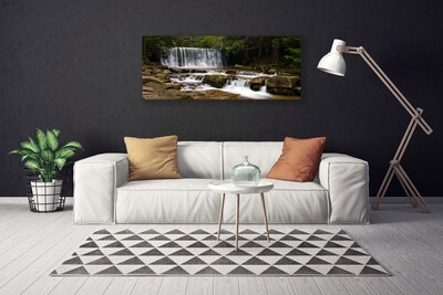 Quadro su tela Cascata della natura della foresta