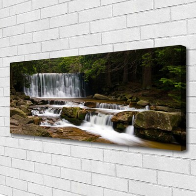 Quadro su tela Cascata della natura della foresta