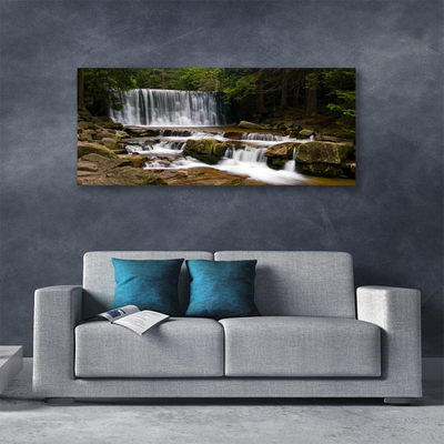 Quadro su tela Cascata della natura della foresta