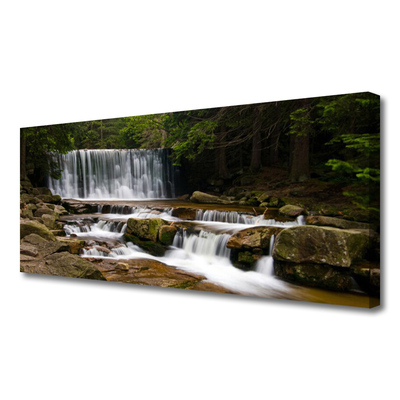 Quadro su tela Cascata della natura della foresta