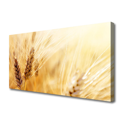 Quadro su tela Grano vegetale naturale