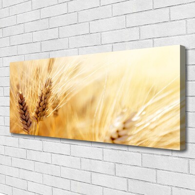 Quadro su tela Grano vegetale naturale