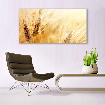 Quadro su tela Grano vegetale naturale