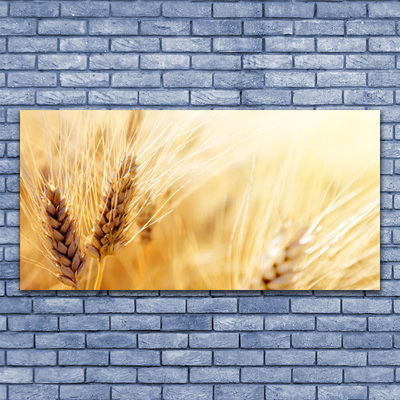 Quadro su tela Grano vegetale naturale